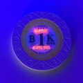 BTCC Mint 1k Bits Chip UV.jpg