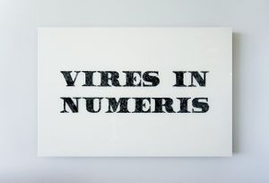 Cryptograffiti - Vires in Numeris - 2014.jpg