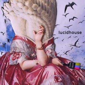 Lucidhouse shop img.jpg